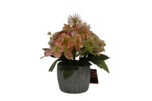 Mixed flowers in cement pot 20cmH