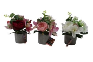 Rose + cymbidium in cement pot 21cmH