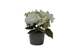 Mixed flowers in cement pot 20cmH