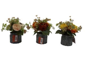 Peony + mum in plastic pot 23cmH