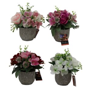 Rose + hydrangea in plastic pot 19cmH