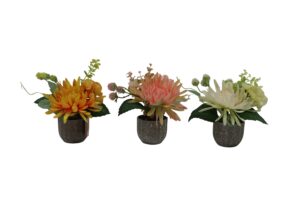 Mum + eucalyptus in plastic pot 20cmH