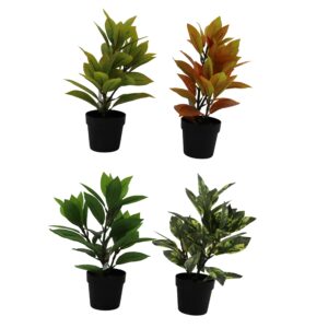Plant in plastic pot 32cmH