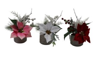Poinsettia in plastic pot 29cmH