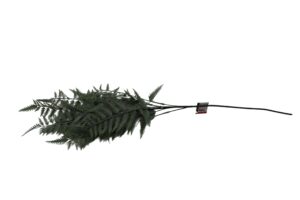 Fern spray 91cmL