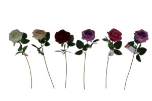 Rose single 50cmL
