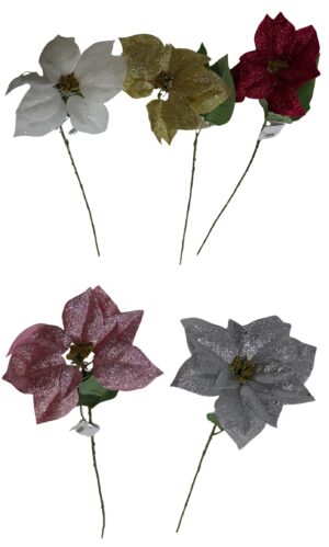 Poinsettia single 70cmH