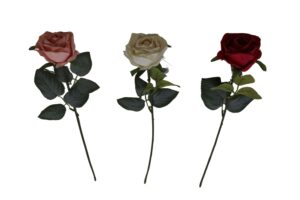 Rose single 52cmL