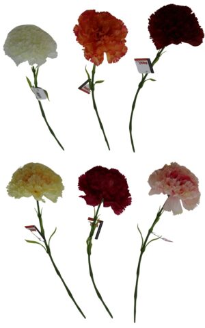 Carnation single 53cmL
