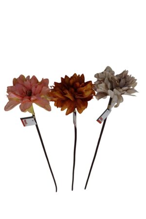 Dahlia single 60cmL