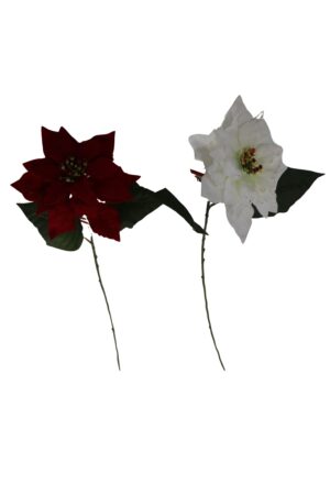 Poinsettia single 69cmH