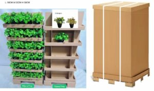 Clover in plastic pot 20cmH, 90 pcs in display