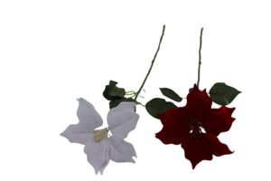 Poinsettia single 70cmL