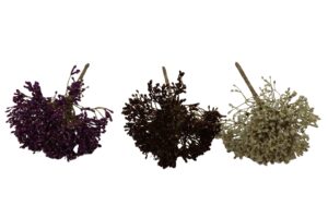Gypsophila bush 32cmH