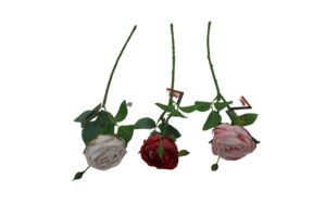 Rose single 45cmL