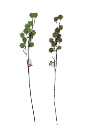 Allium spray 82cmL