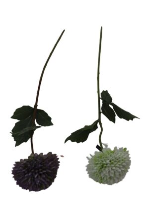 Dahlia single 49cmL
