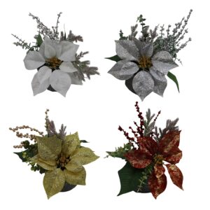 Poinsettia in plastic pot 26cmH