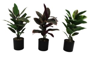 Plant in plastic pot 45cmH
