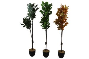 Plant in plastic pot 100cmH