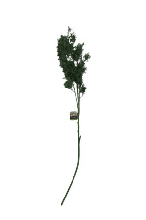 Leaves spray 105cmL