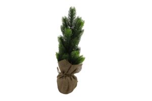 Pine tree in burlap wrapped pot 37cmH