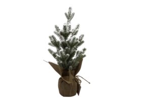 Pine tree in burlap wrapped pot 45cmH