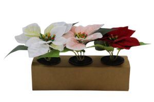Poinsettia in plastic pot 15cmH S/3