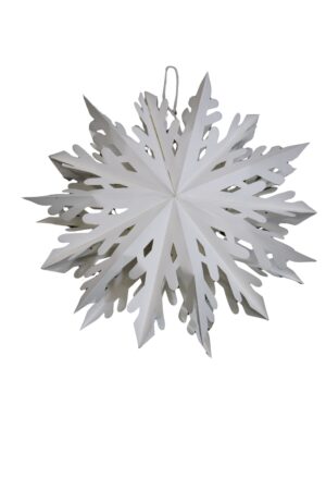 Paper star d.54x15cm
