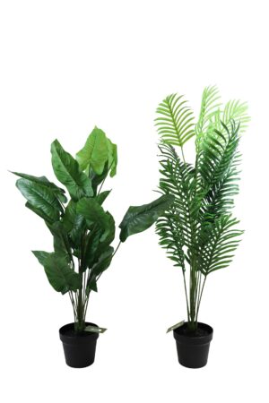 Plant in plastic pot 115cmH