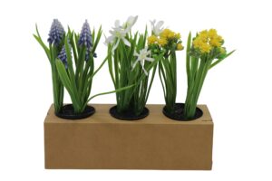 Flower in plastic pot 20cmH S/3