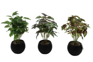 Plant in plastic pot 31cmH