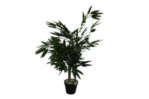 Bamboo tree in plastic pot 65cmH