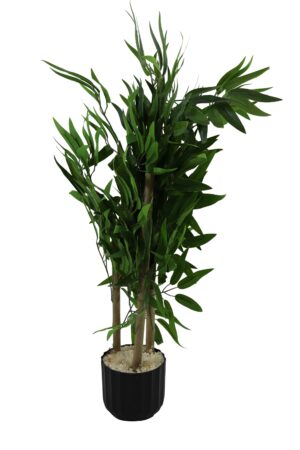 Bamboo tree in plastic pot 65cmH