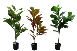 Plant in plastic pot 77cmH