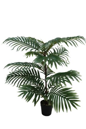 Green plant in plastic pot 90cmH