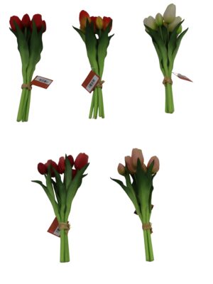 Tulip bush RT 31cmH