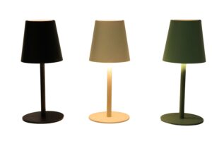 S/2 metal Led lamps w/smooth plastic shade d.7x17cm